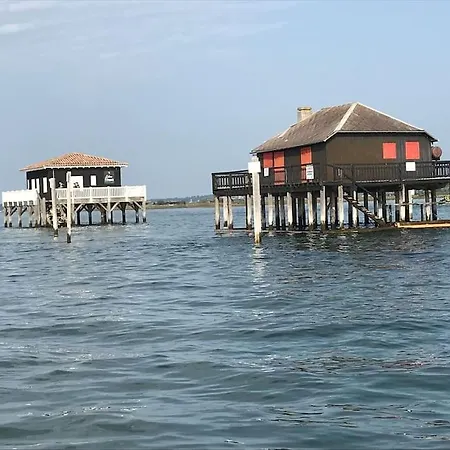 Maison Familiale Au Coeur Du Bassin D'arcachon * 比加诺斯