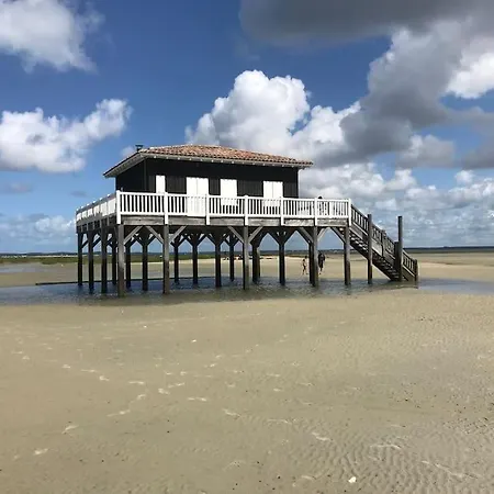 Maison Familiale Au Coeur Du Bassin D'arcachon * 比加诺斯